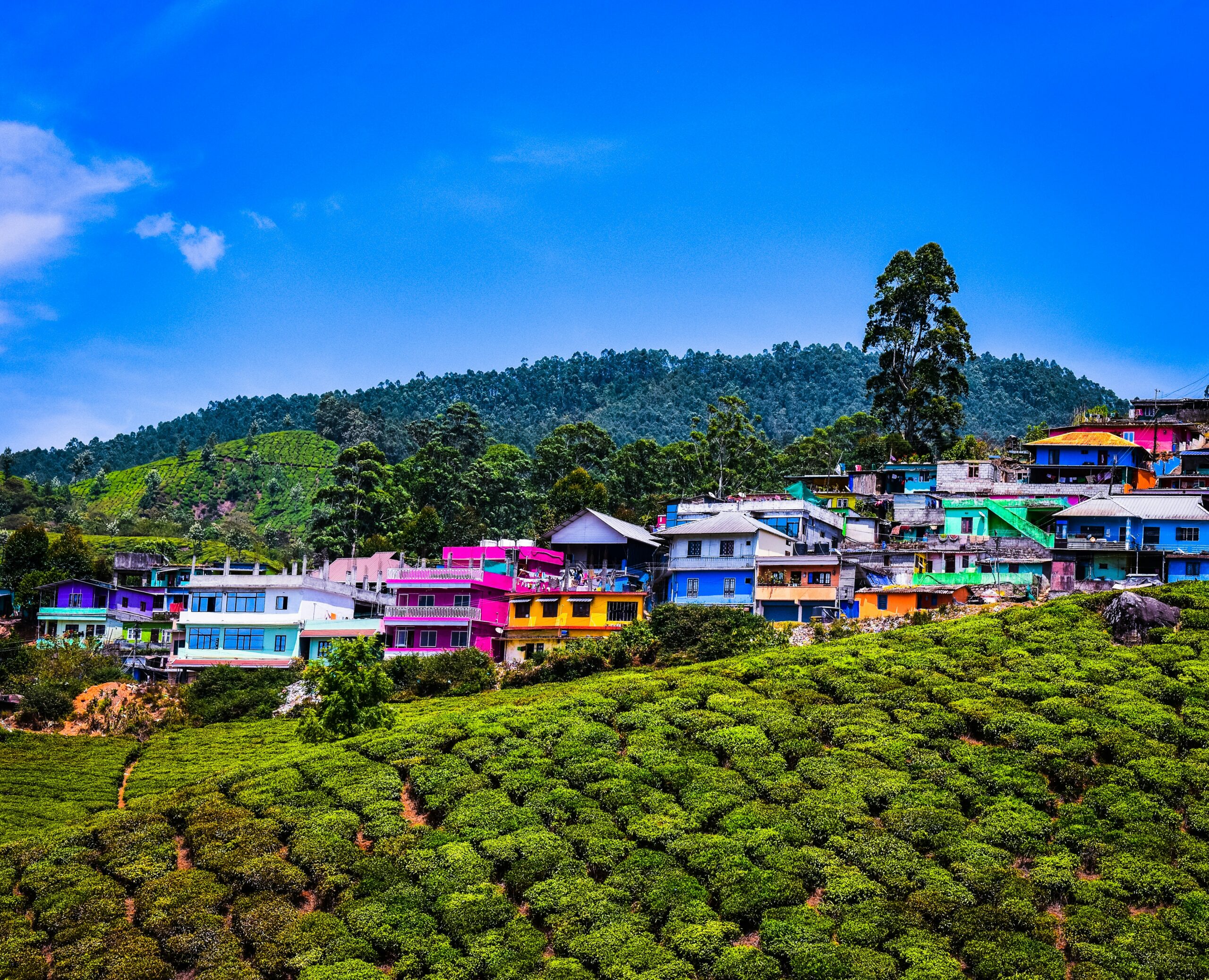 Munnar-image