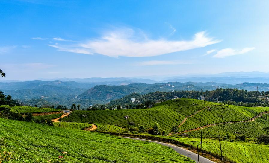 Munnar-image